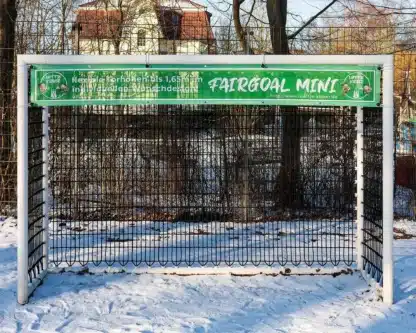 fairgoal mini promo frontal lüttje kicker